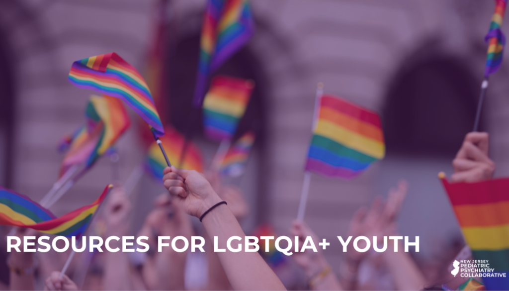 NJPA Blog Website Banner_LGBTQIA+