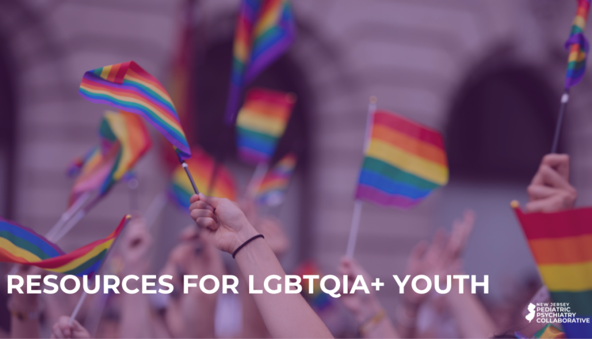 NJPA Blog Website Banner_LGBTQIA+