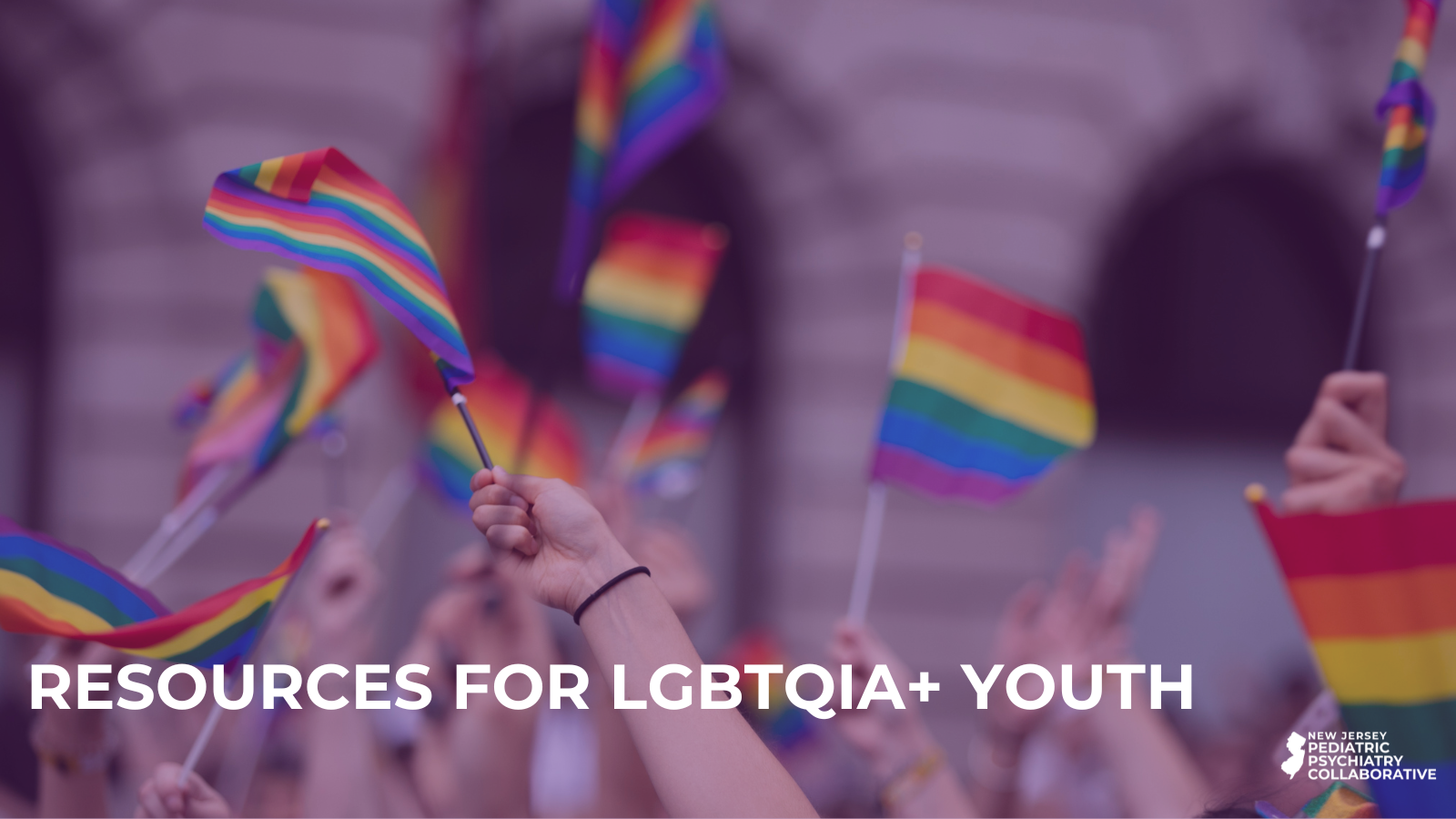 NJPA Blog Website Banner_LGBTQIA+